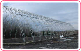 Tarp-Rite Arch-Span Double Hoop Frame